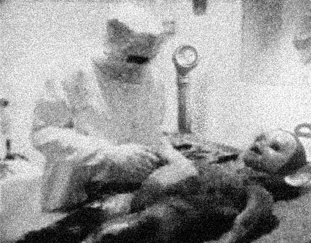 Exposing the lies. This picture shows the REAL alien autopsy!!!